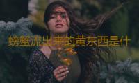 螃蟹流出来的黄东西是什么 